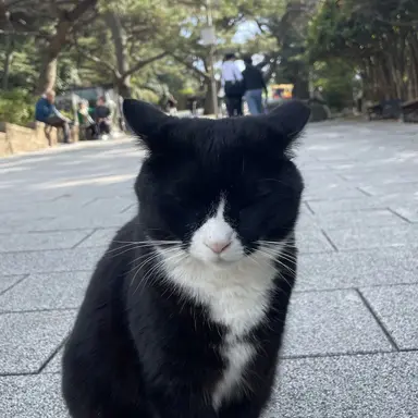 Profile image of 릴리