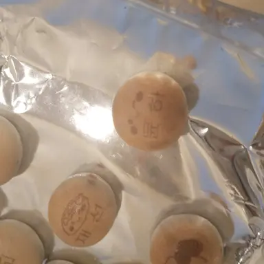 Profile image of 유기사