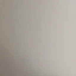 Profile image of 박진언