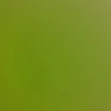Profile image of 븅신