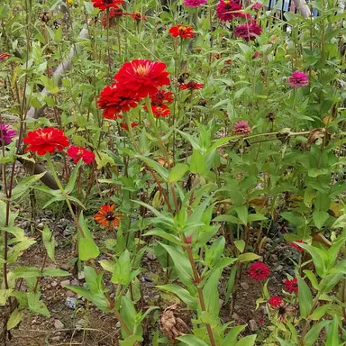 Profile image of 여웅