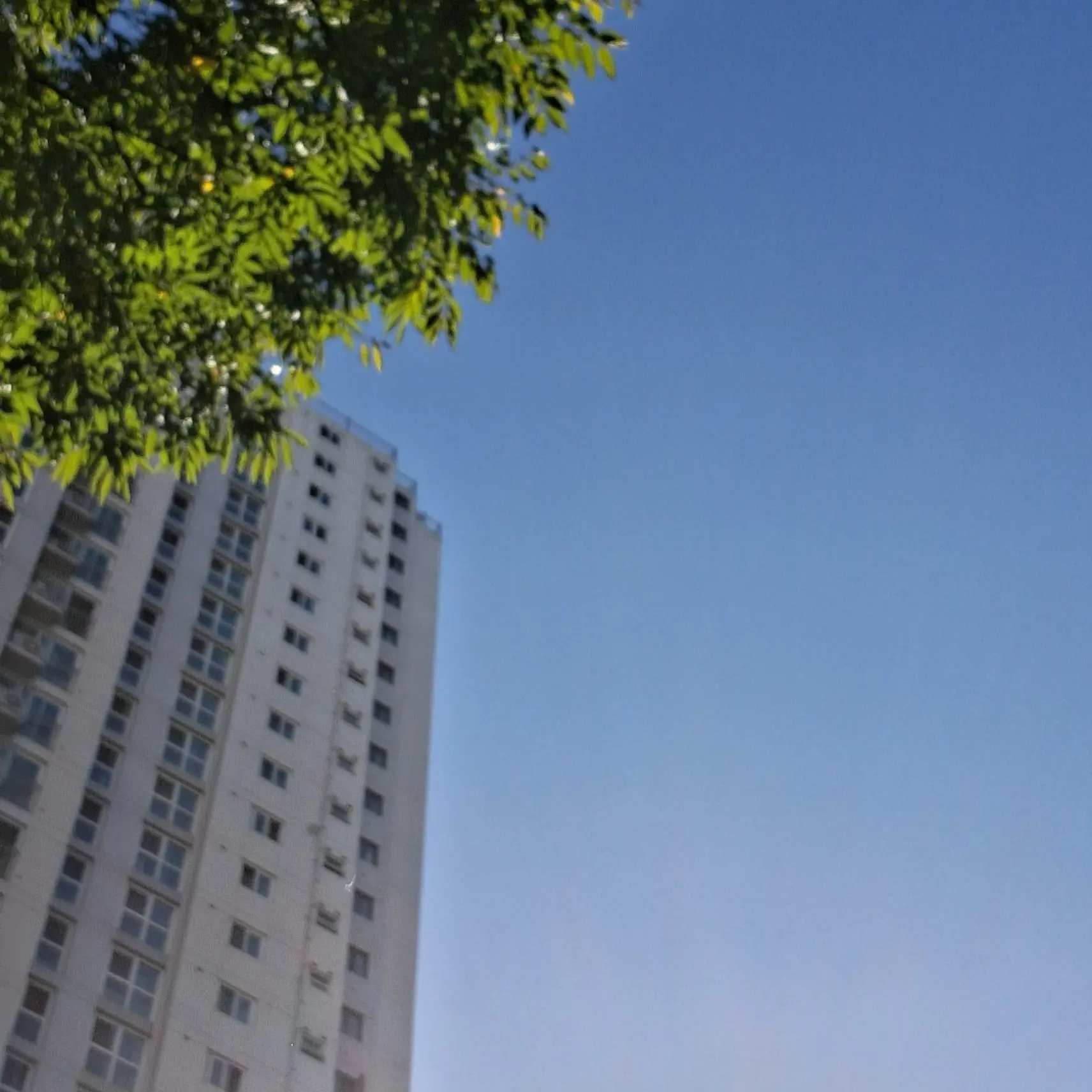 RuralStorm4814의 여우년과 고고프렌즈 일짱무리♡