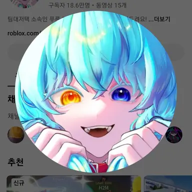 Profile image of 료미