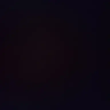 Profile image of 지원