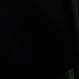 한유진