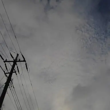 Profile image of あ