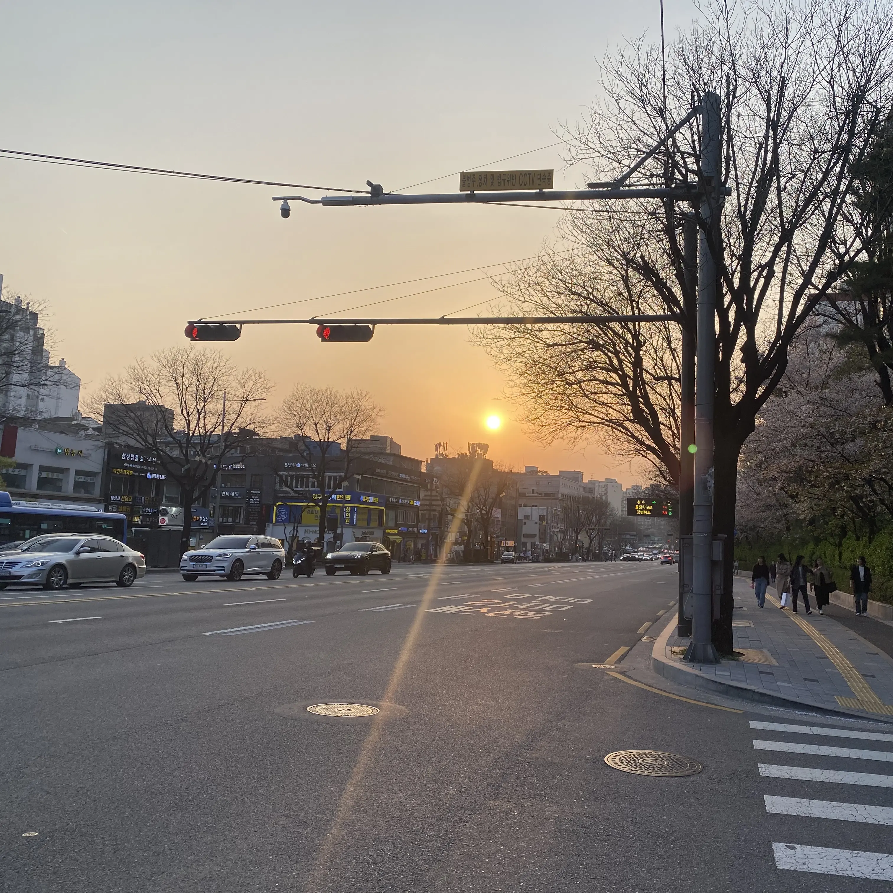 zzzhscx의 ㅈㅈㅎ