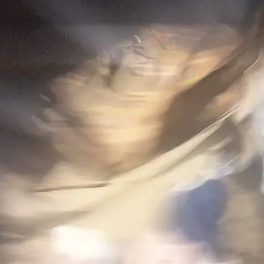 Profile image of Lucas