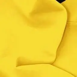 Profile image of 岩本照