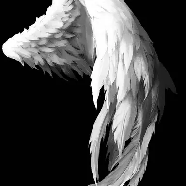 Profile image of 디오르