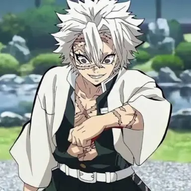 Profile image of 시나즈가와 사네미