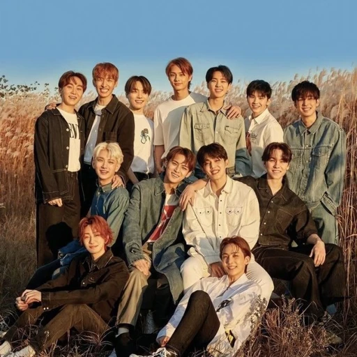 납치법 세븐틴