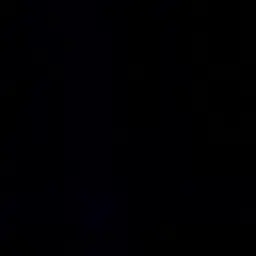 Profile image of sb