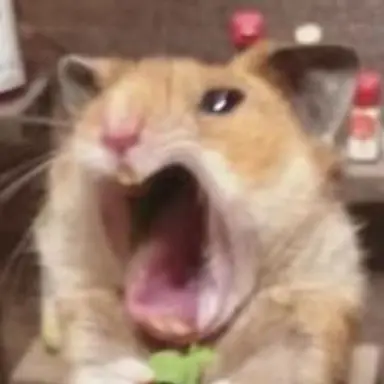 Profile image of 늑대