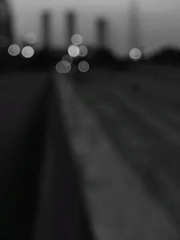 ._.Dise의 …     🐱