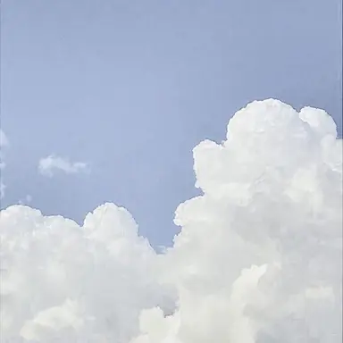 Profile image of ミル