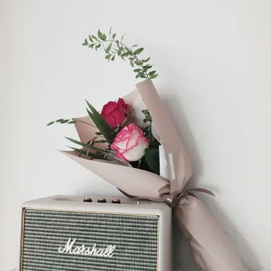 Profile image of 소멸