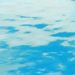 Profile image of 곰숭