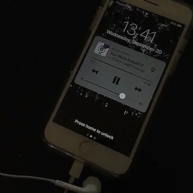 Profile image of 채스터