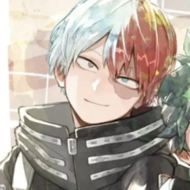 Profile image of Shoto todorki
