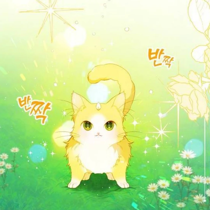 신수