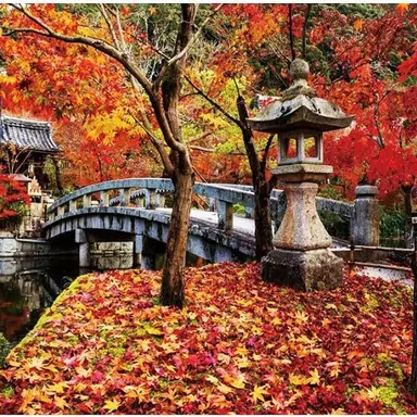 Profile image of 市村 清之助