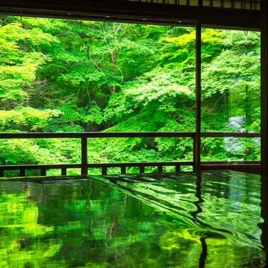 Profile image of 市村梅