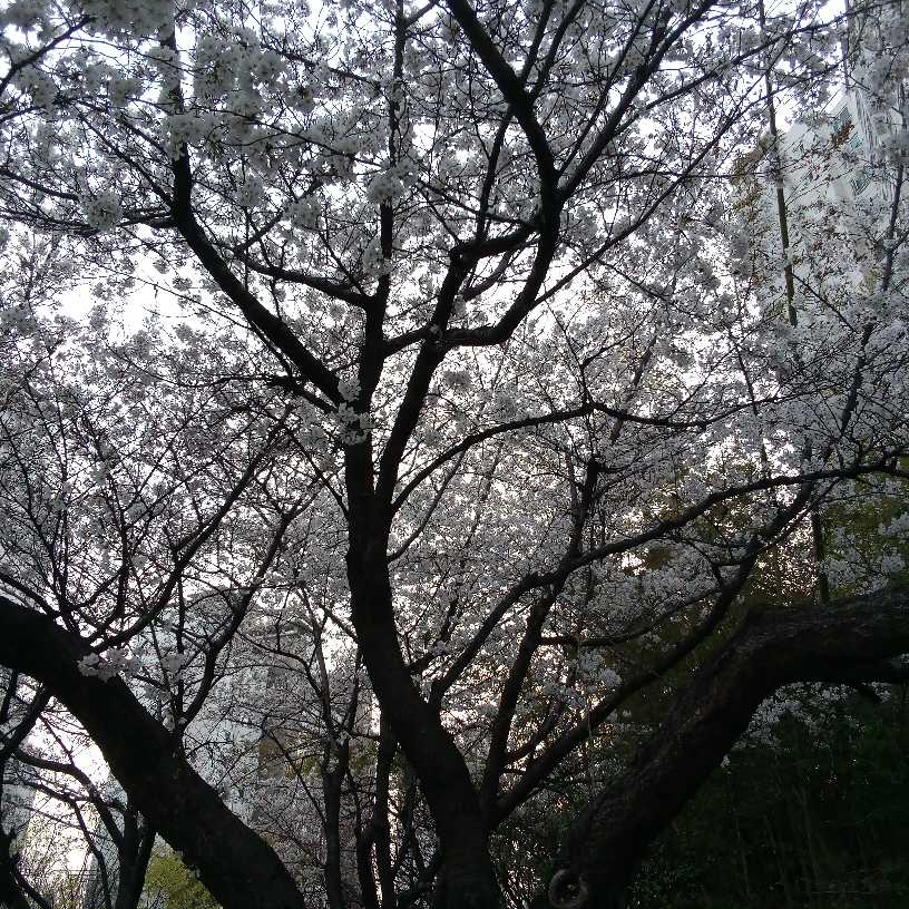 김도훈 대표 이미지