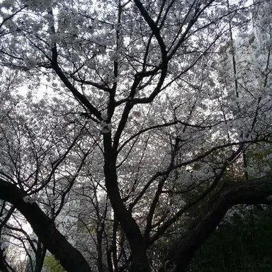 Profile image of 도훈