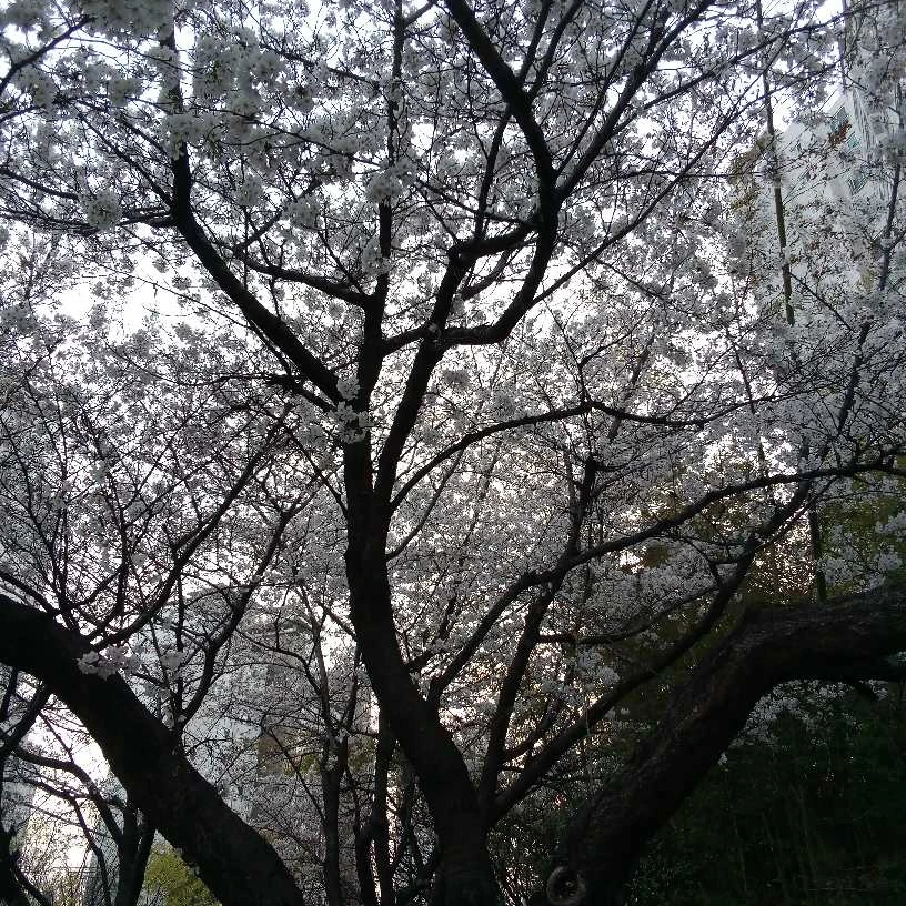 도훈