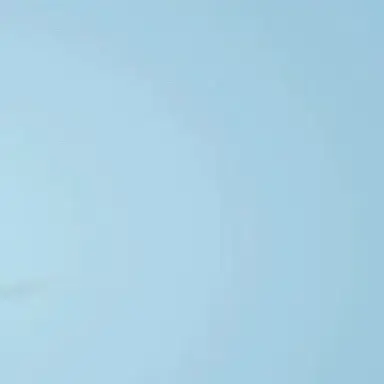 Profile image of 若井 滉斗