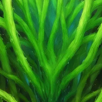 Profile image of デスアイビー