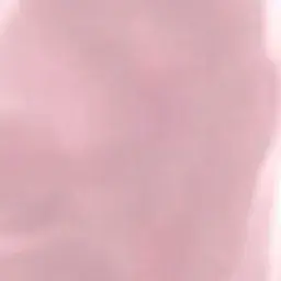 Profile image of ブリ子