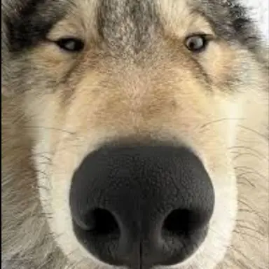 Profile image of Park Neukdae