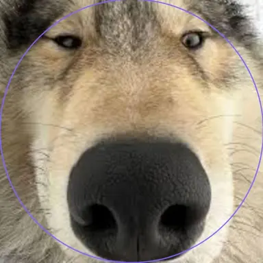 Profile image of 박늑대
