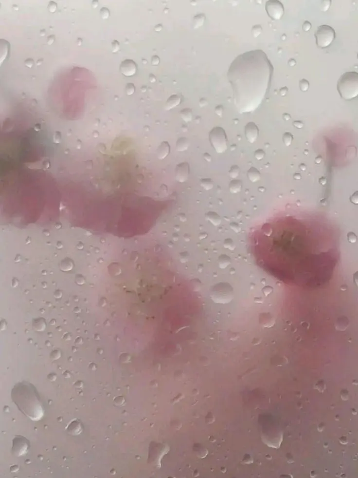 s.3yxn의 쉐어하우스 1호점