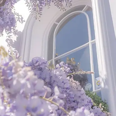 Profile image of 오토 레이니