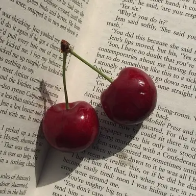 Profile image of 코요 템페스트