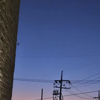 Profile image of 타이사야 미토