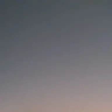 Profile image of 신니지 나모