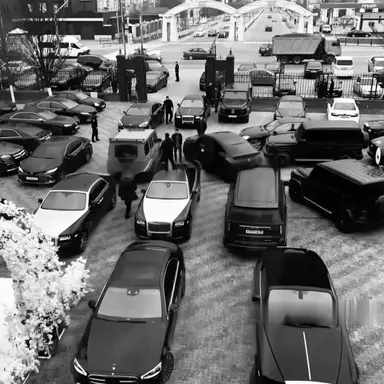 Profile image of Grishin