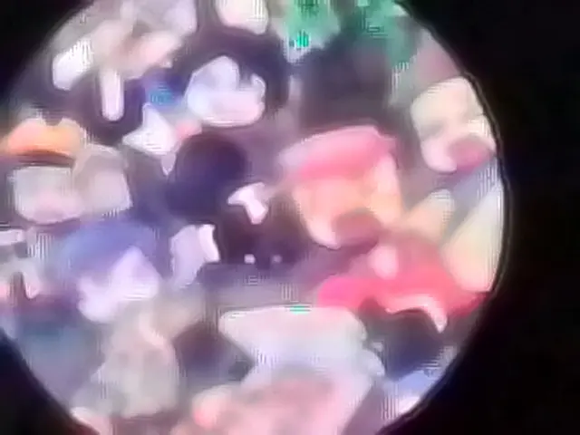 Profile image of フォーセイクンのメンバー