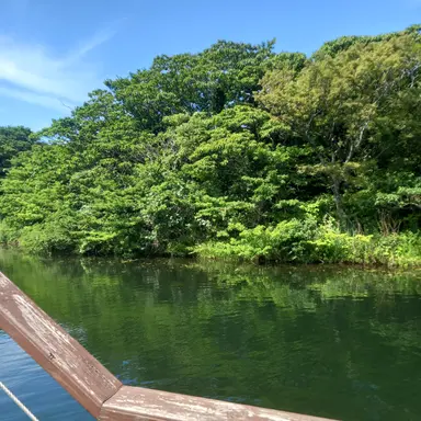 Profile image of 잠경위