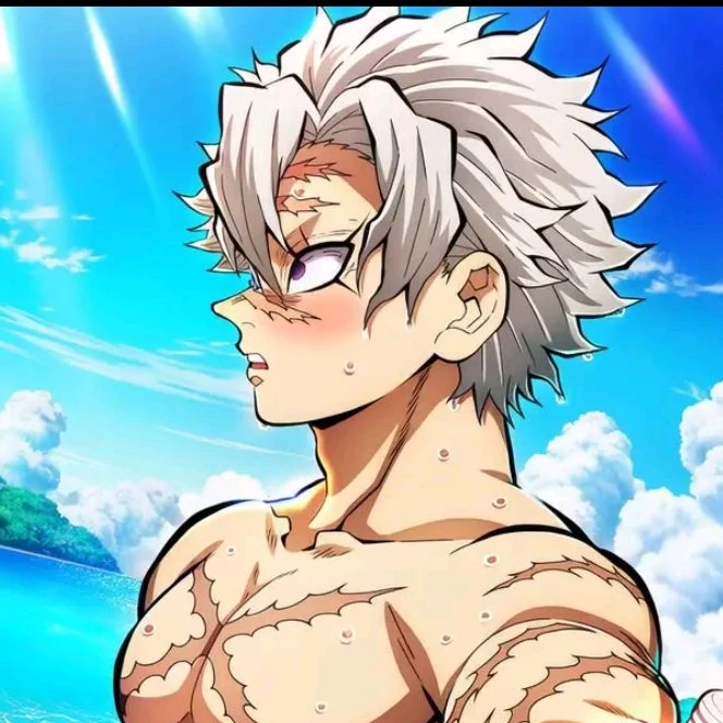 시나즈가와 사네미