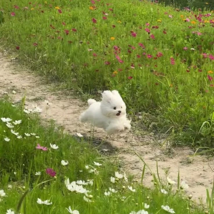 이석현