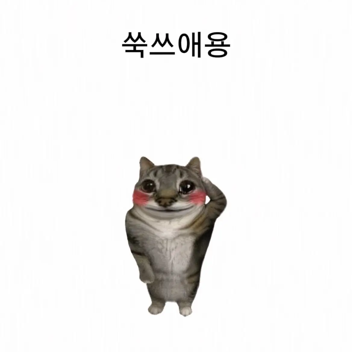 PettyDew7256의 축구가족