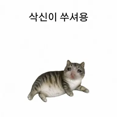 Profile image of 박성한