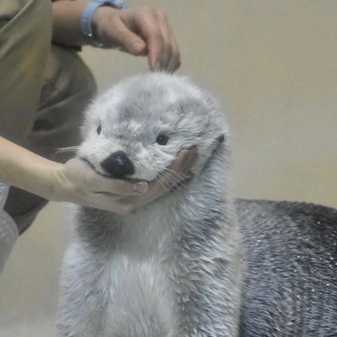 정해인