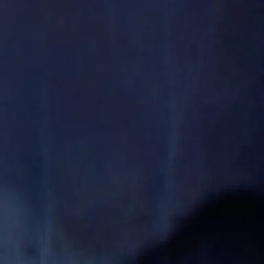 Profile image of 팀 대저택 히어로