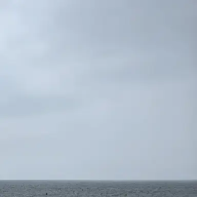 Profile image of 윤 국장